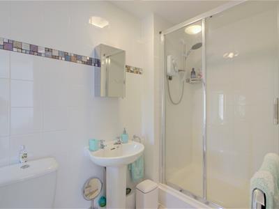 Picture 14